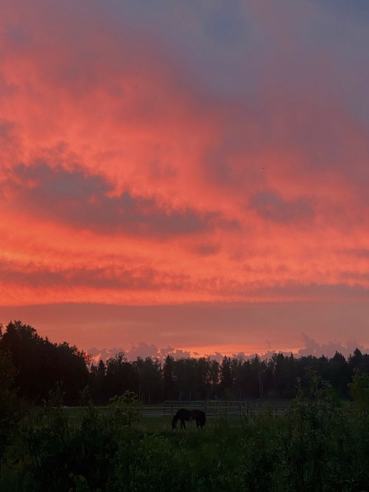 Photograph by Андрей Воробьев