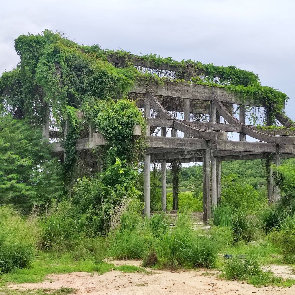 Photograph by Ekaterina Spirova