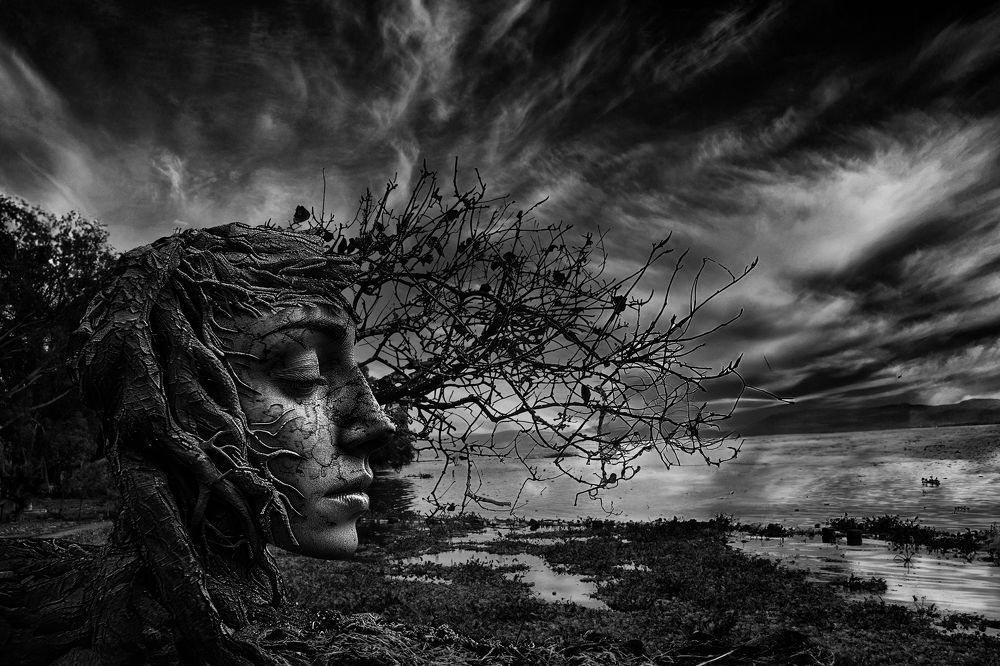 Фотография автора jairo xavier elias avalos