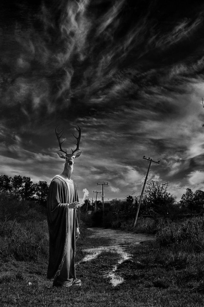 Фотография автора jairo xavier elias avalos