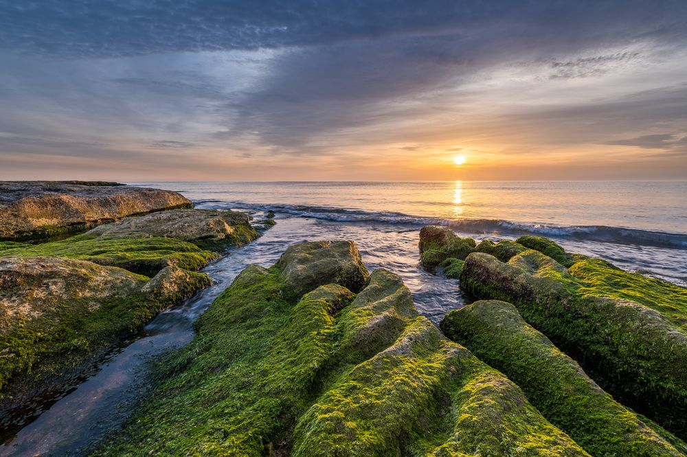 Photograph by Алексей Королёв