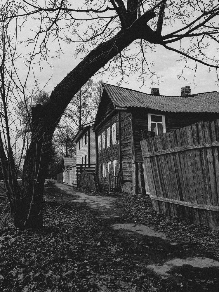 Photograph by Сергей Никифоров