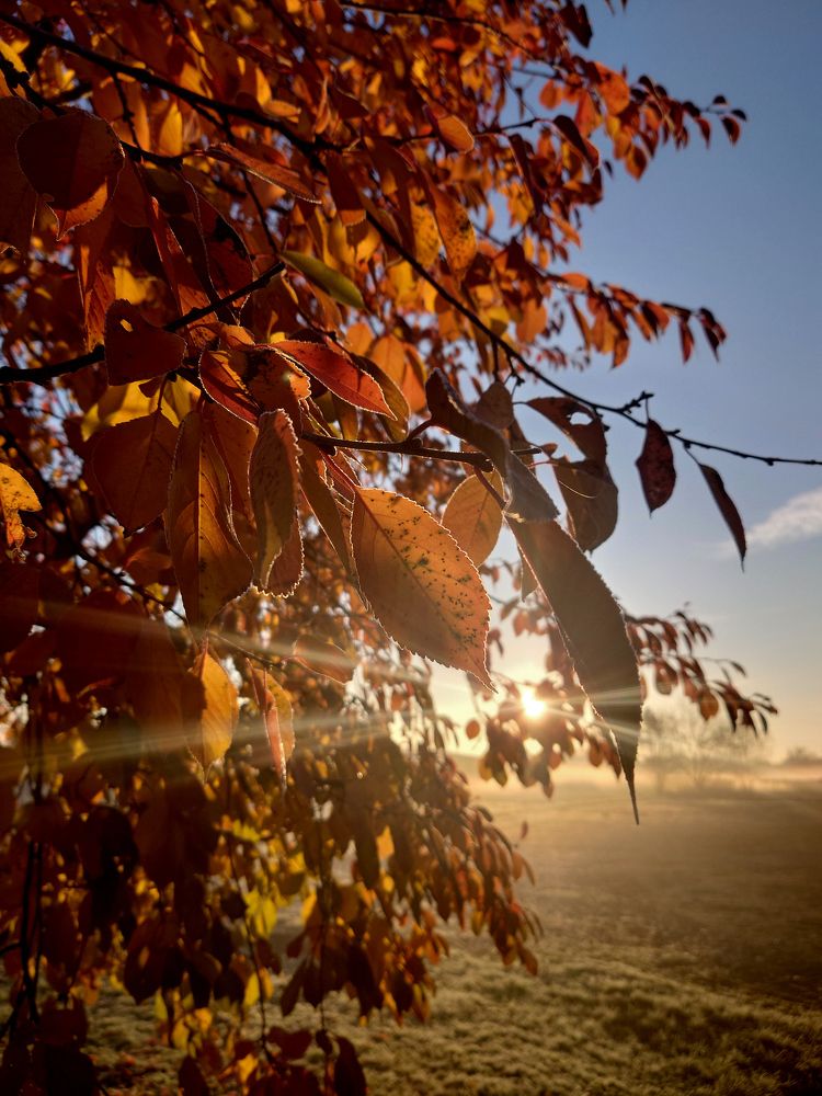 Фотография автора Дмитрий Referee