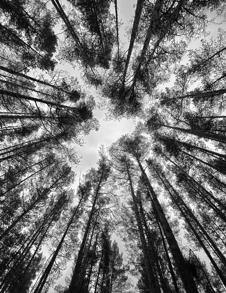 Photograph by Андрей Воробьев