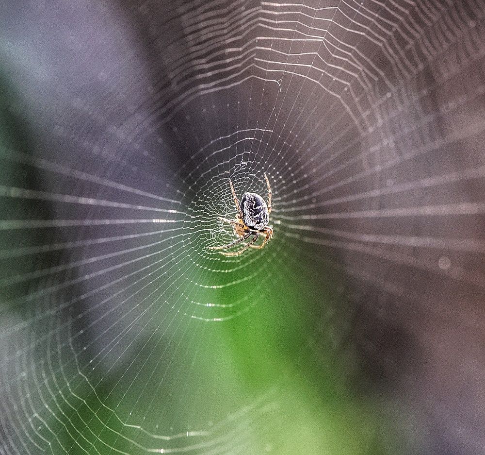 Photograph by Василиса Прекрасная