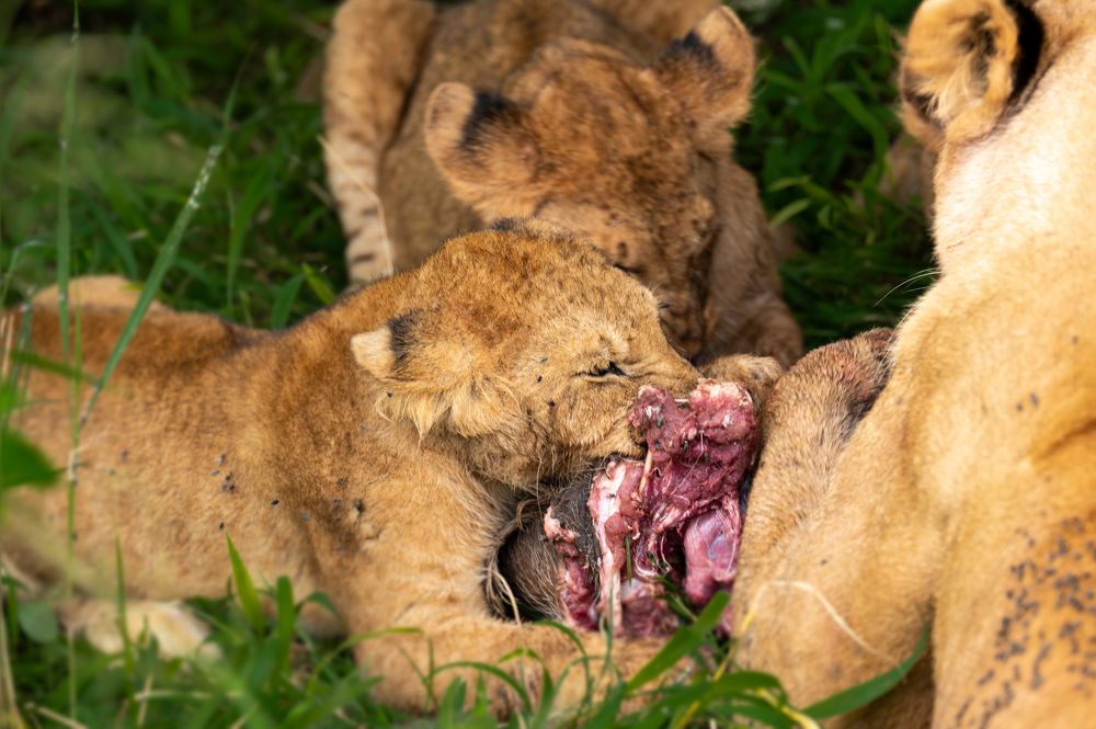 Photograph by Sharad Mansharamani