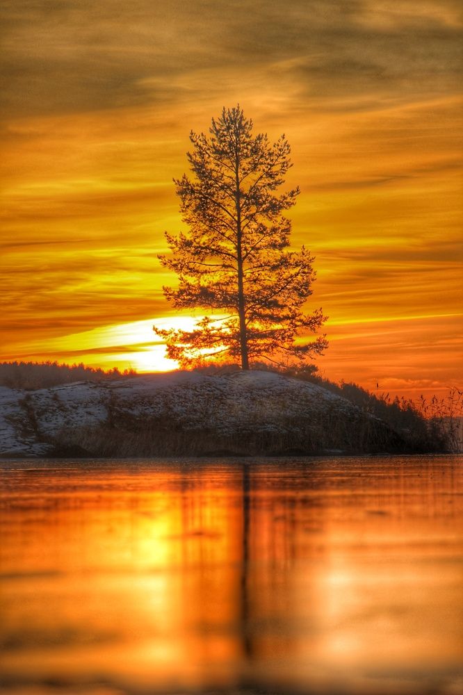 Photograph by Lev Kaufman