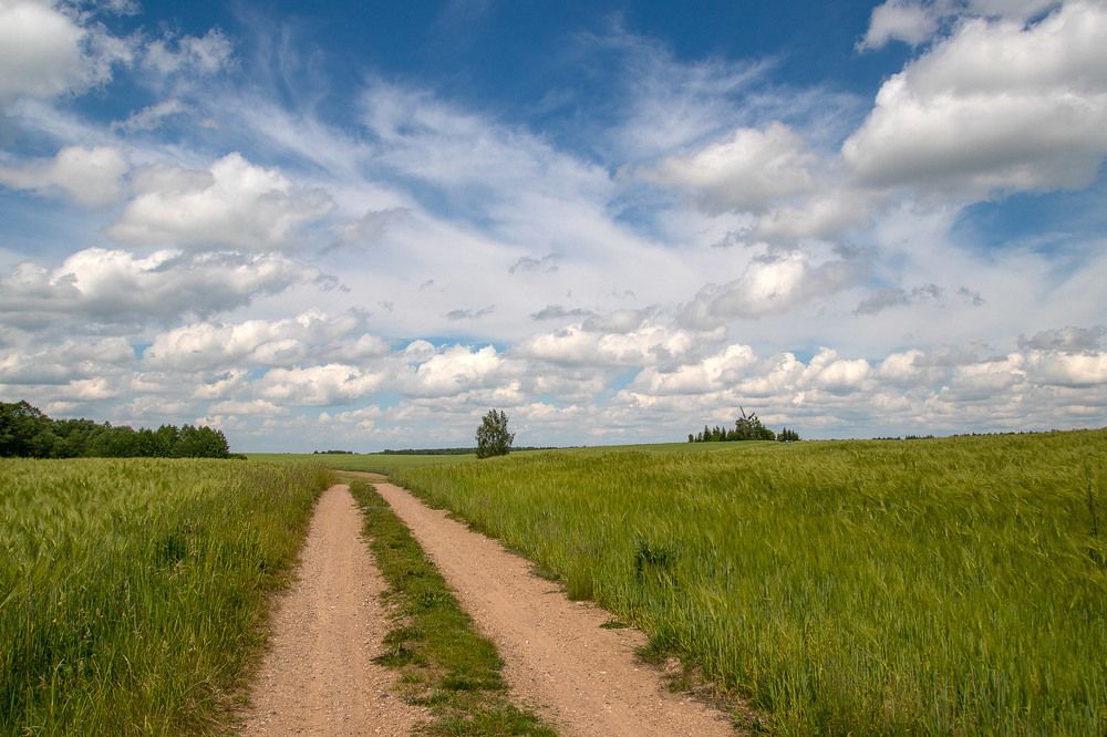 Photograph by Александр Войтко