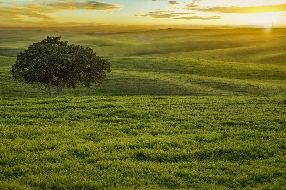 Photograph by Горбачева Маментьева Татьяна