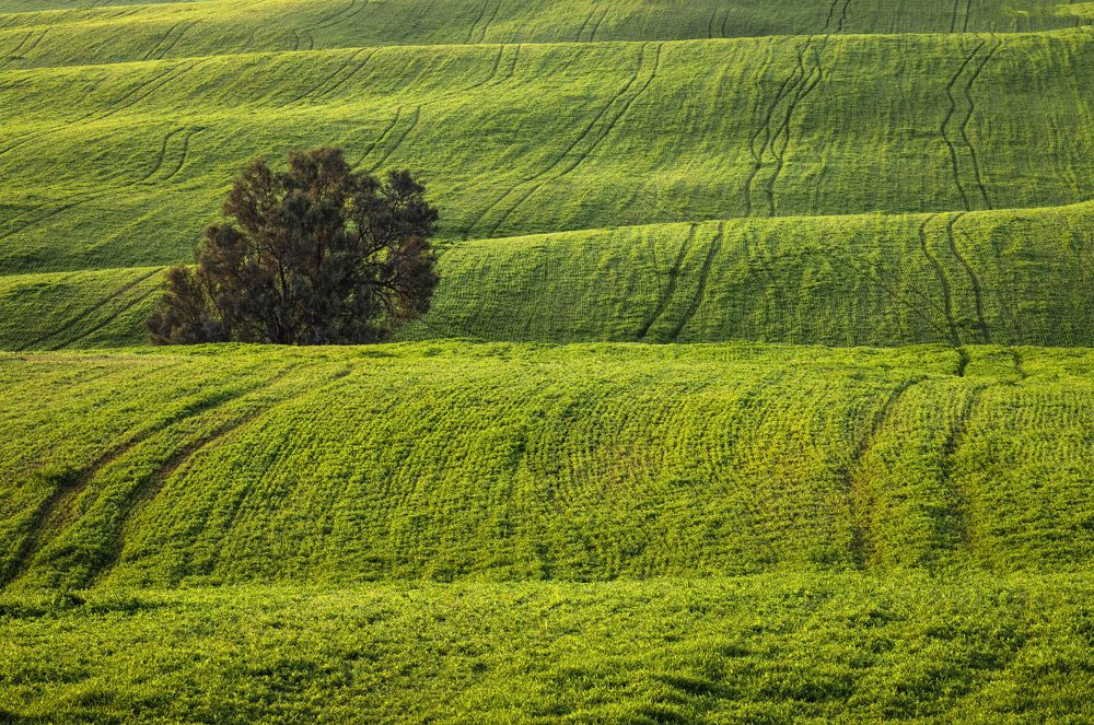 Photograph by Горбачева Маментьева Татьяна