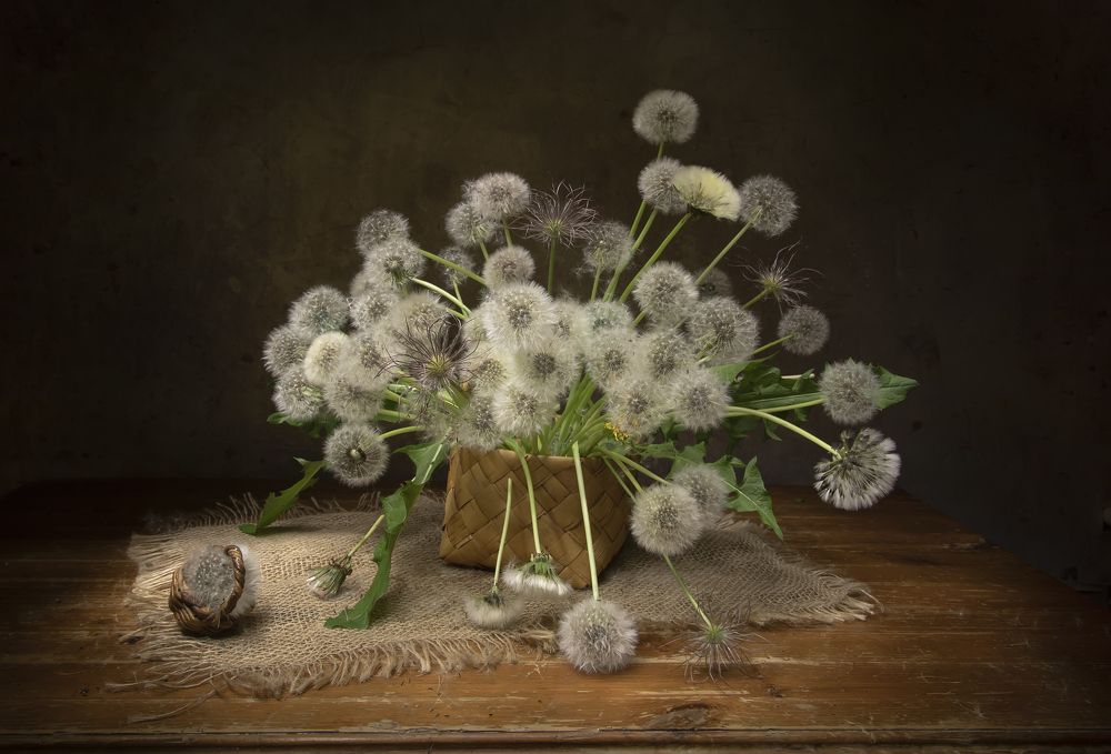 Photograph by Tatyana Fedenkova