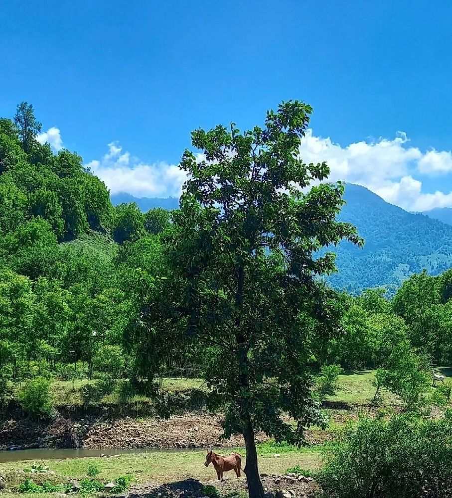 Photograph by Hadi Hadipour