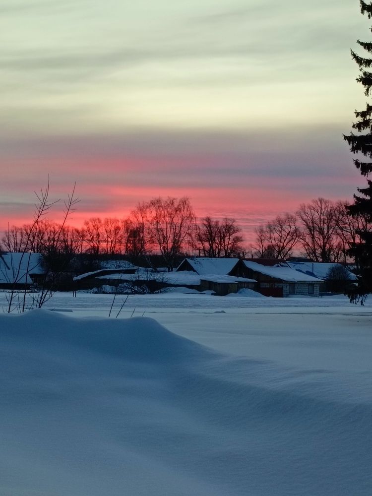 Photo #10665986