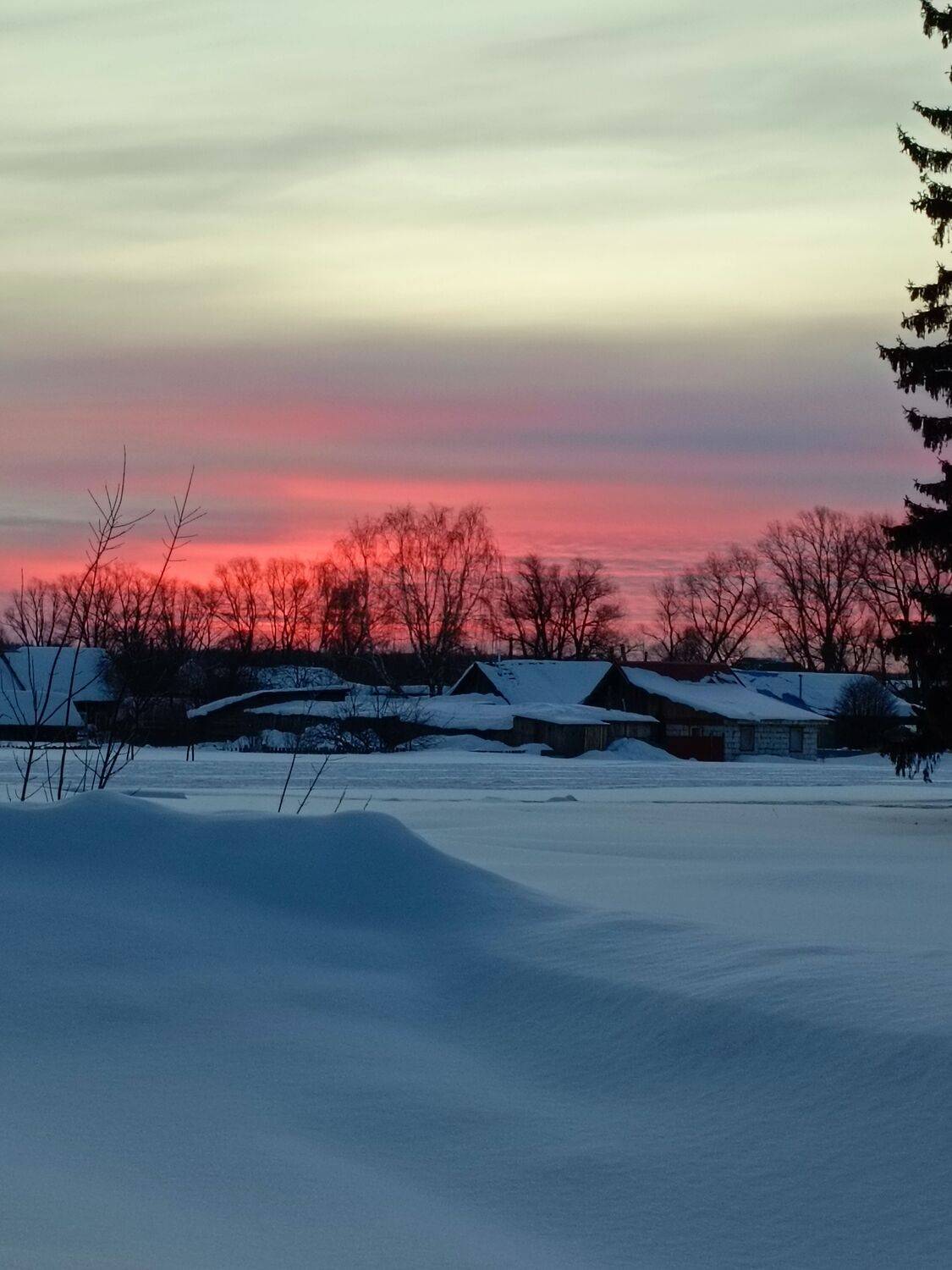 Photo #10665986