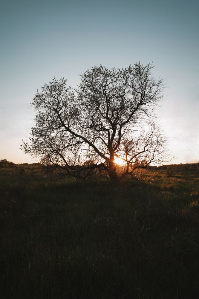 Photograph by Александр Сомов