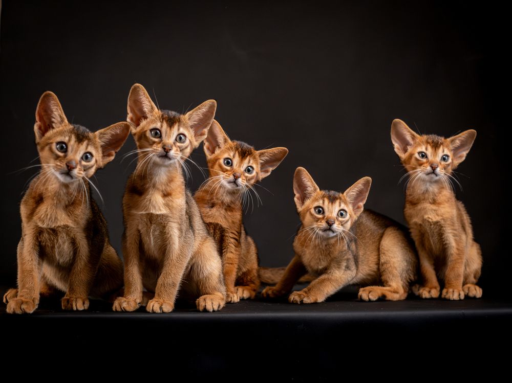 Photograph by Dina Damotseva