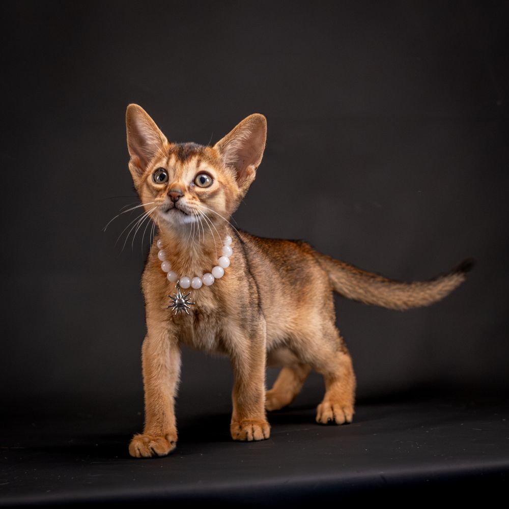 Photograph by Dina Damotseva