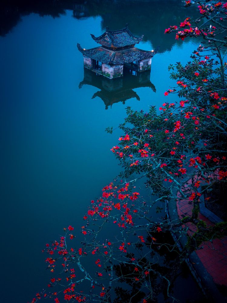 Photograph by Tu Ba Nguyen