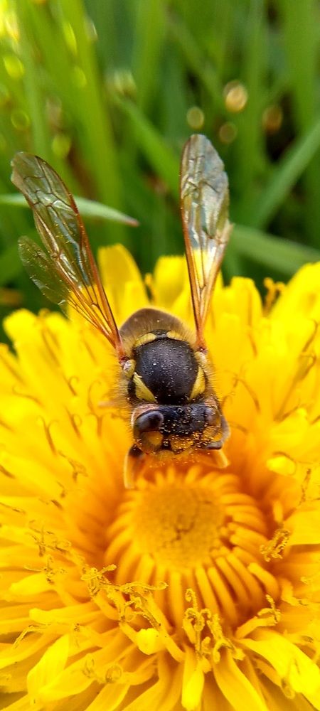 Фотография автора Марина Новикова