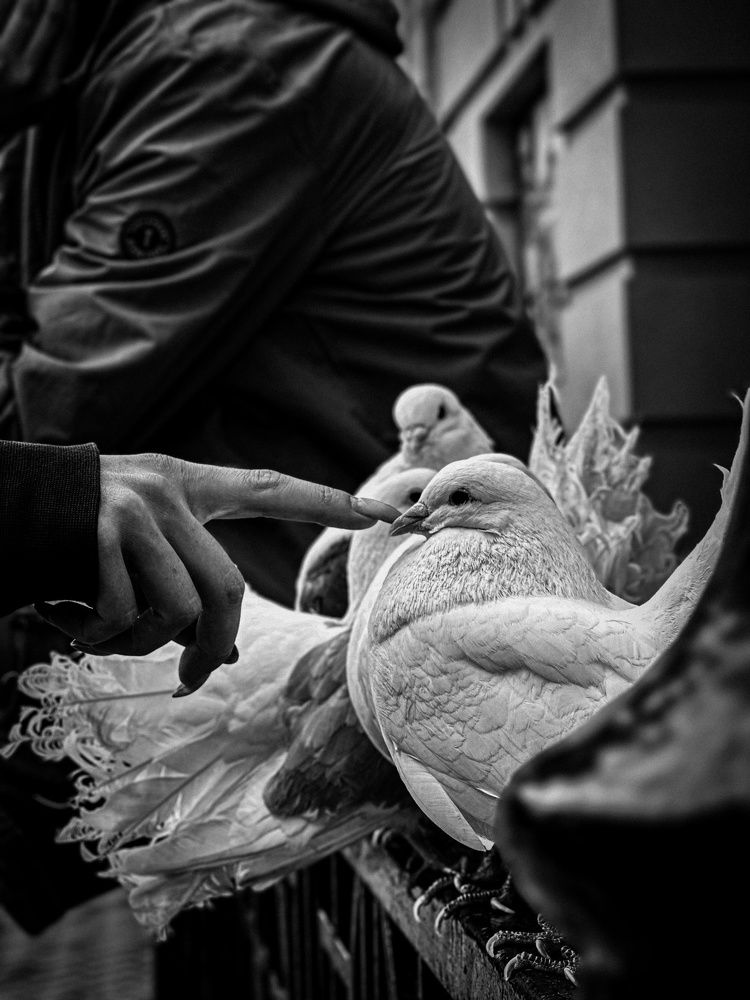 Photograph by Щеглова Марина