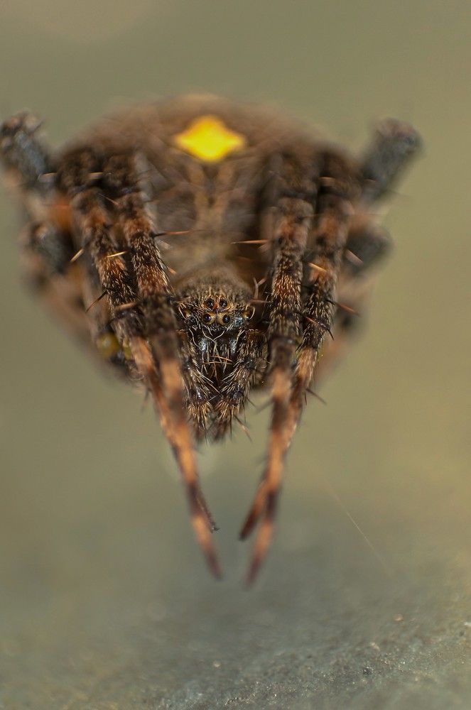 Photograph by константин