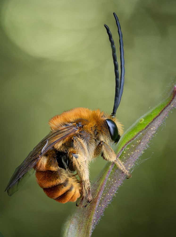 Photograph by Андрей Жила