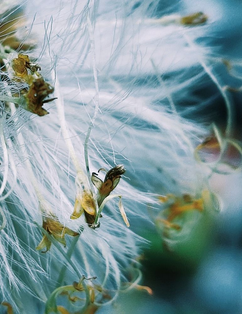 Photograph by Татьяна Гулакова