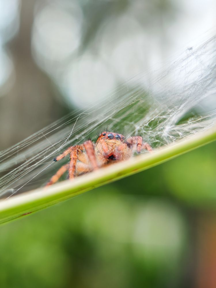 Photograph by GOVIND VISWANATH