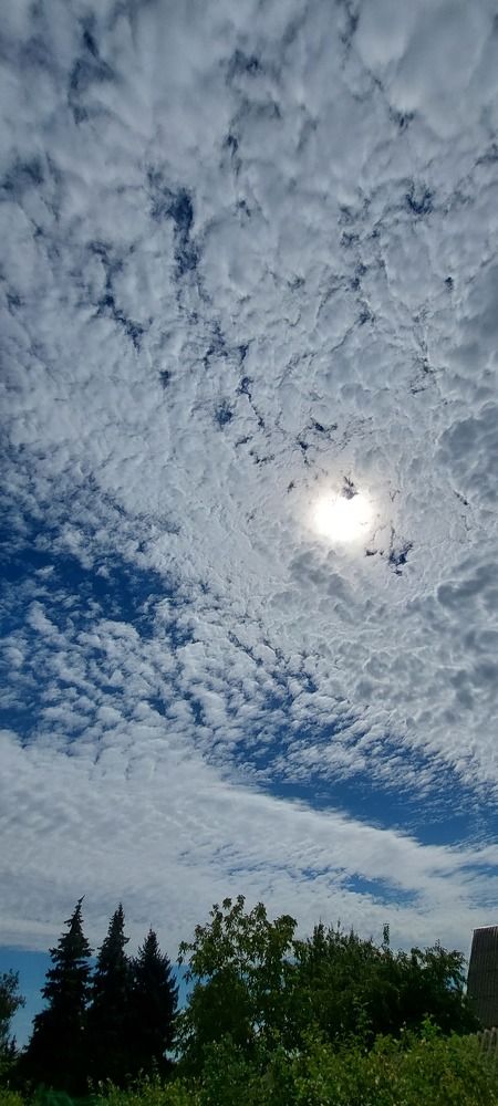 Фотография автора Ольга Круковская