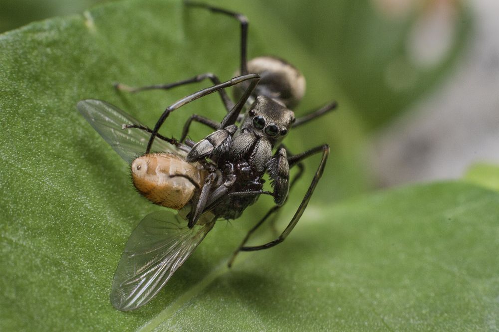 Photograph by rajat dawn