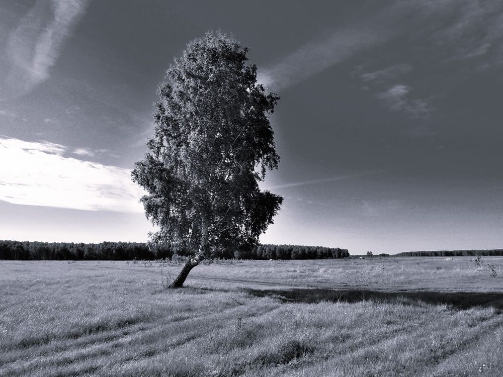 Photograph by Александр Карпенко