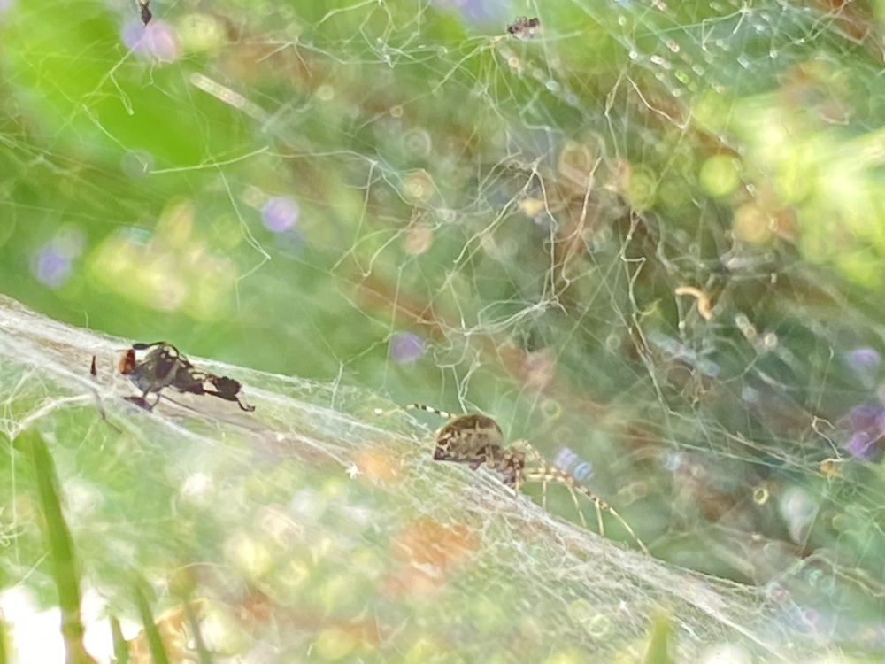 Photograph by Ольга Шабалина