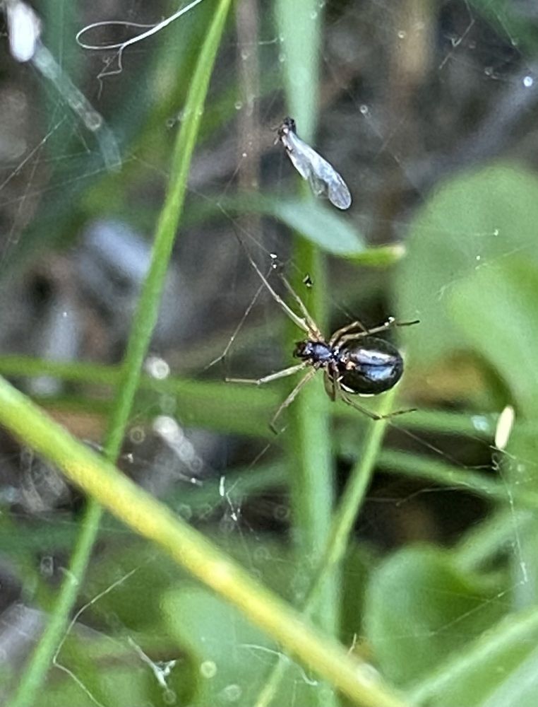 Photograph by Ольга Шабалина