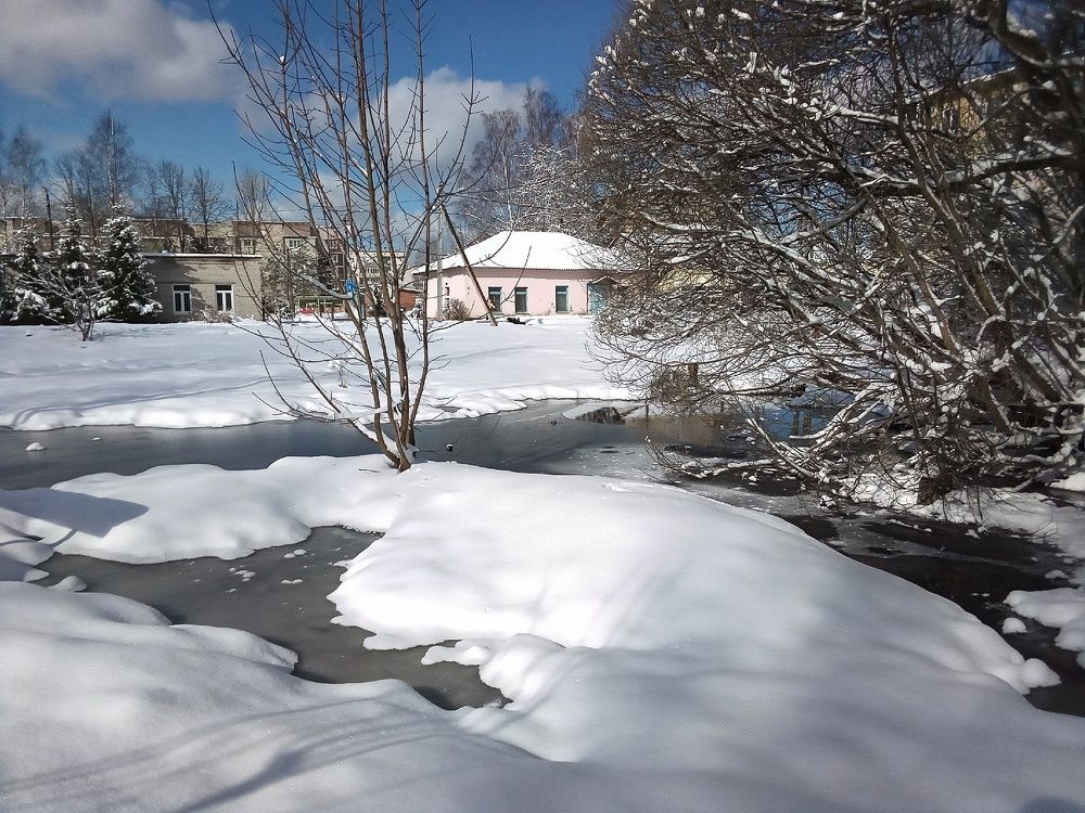 Фотография автора Вера,  Саша  Натан Фотогруппа ВЕСНА