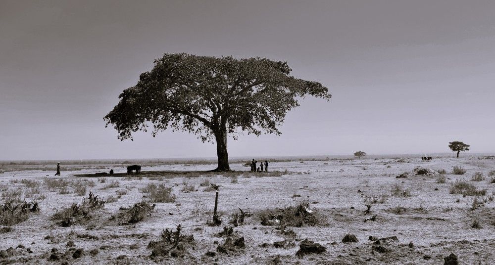 Photograph by Mikiyas Tefera