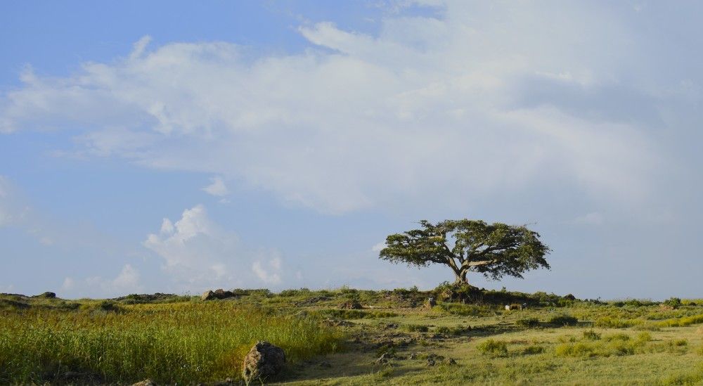 Photograph by Mikiyas Tefera