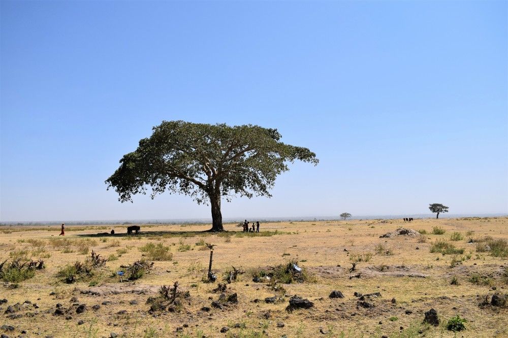 Photograph by Mikiyas Tefera