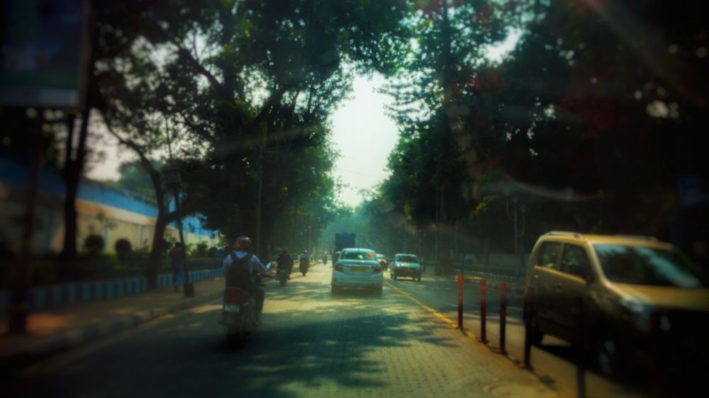 Photo #10666230