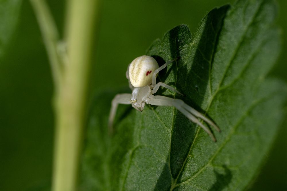 Photograph by Юлия Фомина