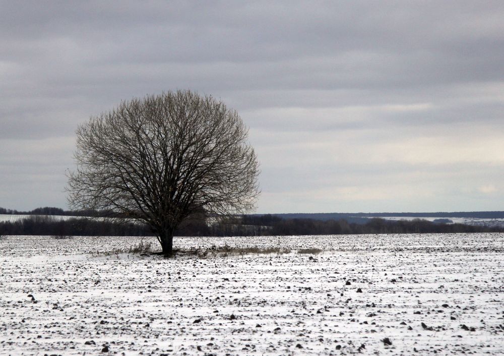 Photograph by Владимир Юрченко