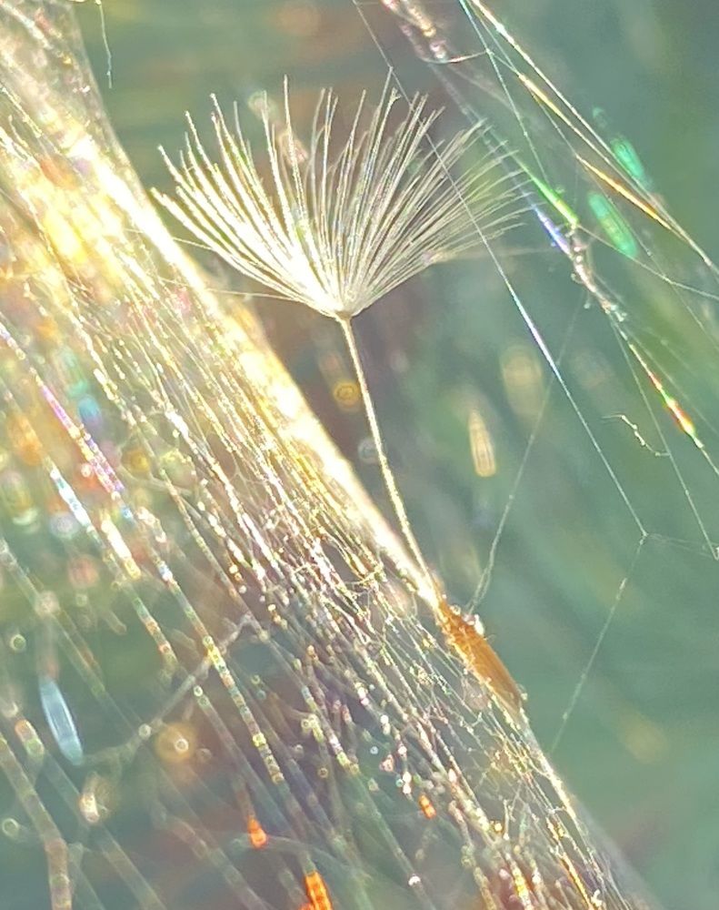 Photograph by Ольга Шабалина