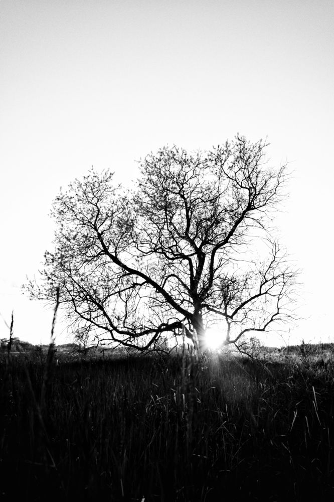 Photograph by Александр Сомов