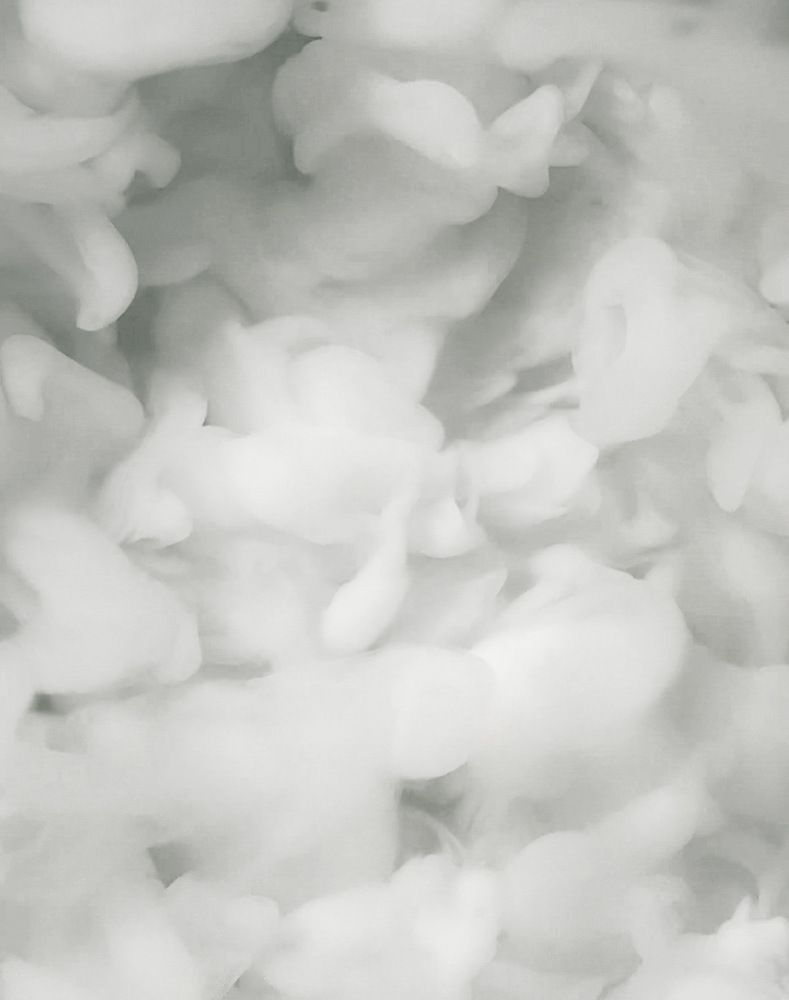 Фотография автора София