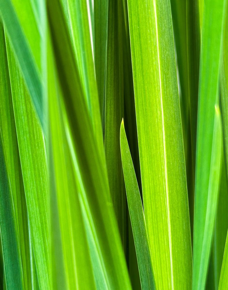 Фотография автора София