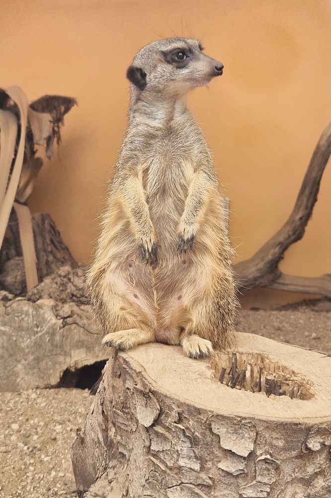 Photograph by Дарья Нугис