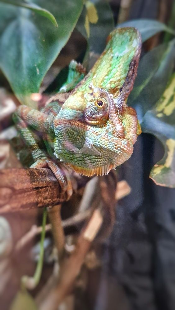 Photograph by Дарья Нугис