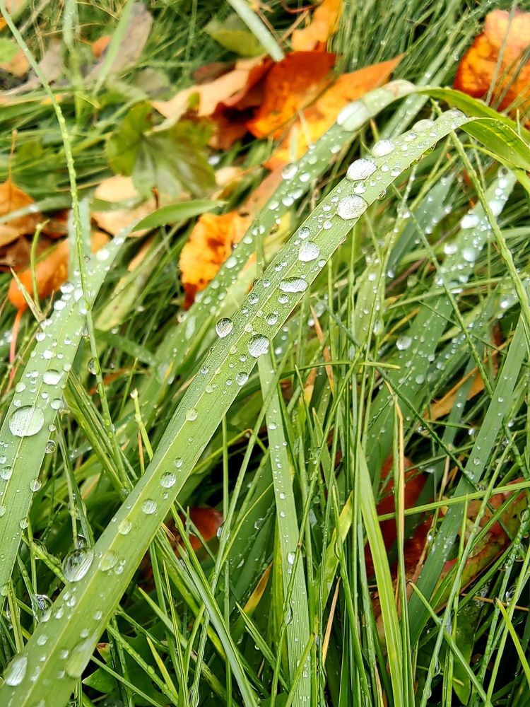 Photograph by Татьяна Гурьянова