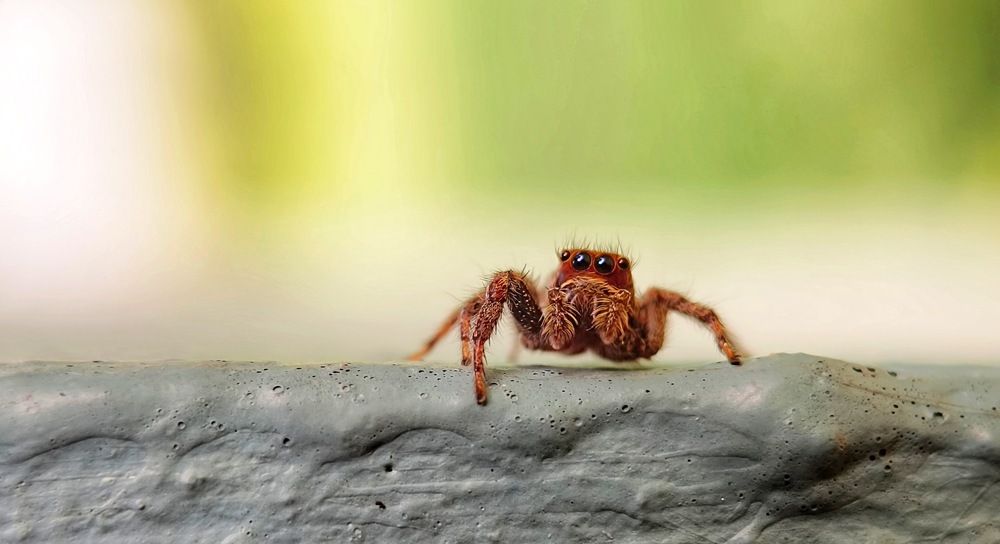 Фотография автора Aniket Layek