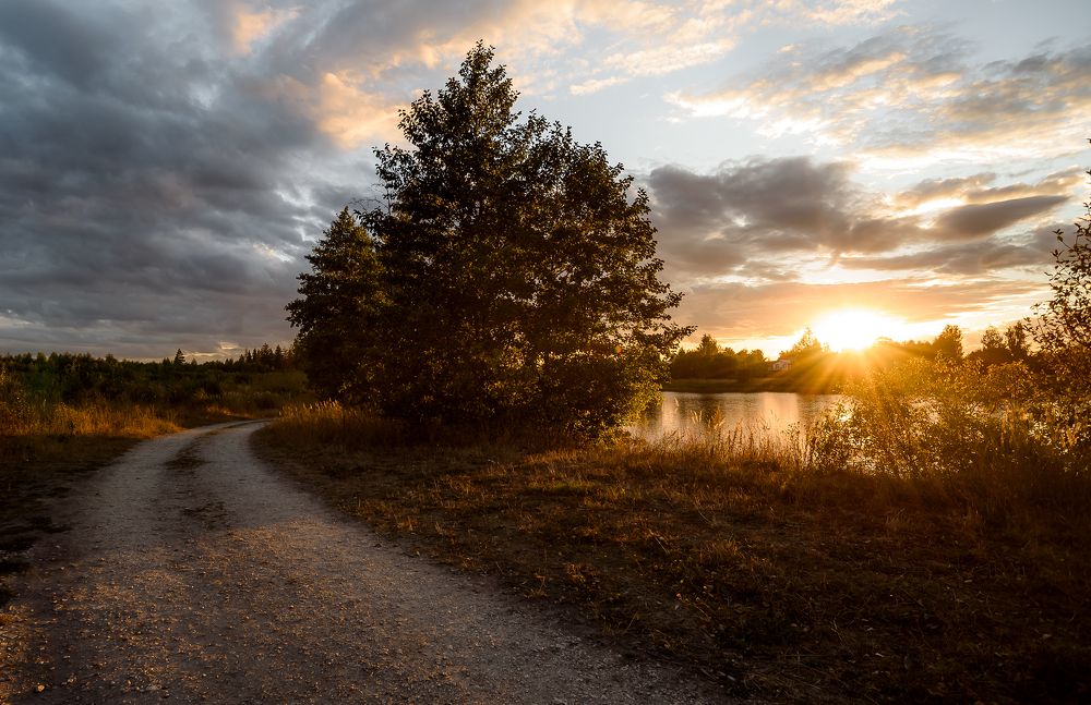 Photograph by Марина Суздаль