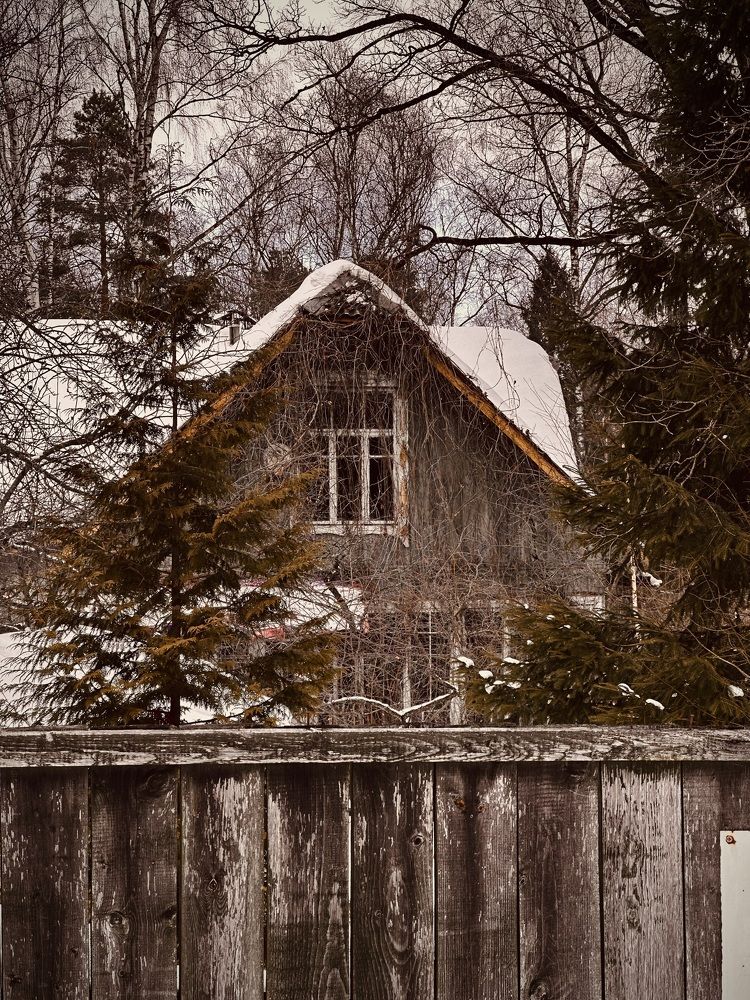 Photograph by Диана Бадеева